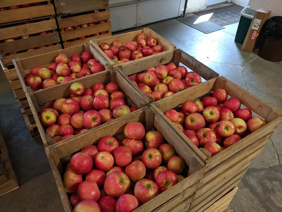 Customers embracing DeKalb County orchard, safety practices
